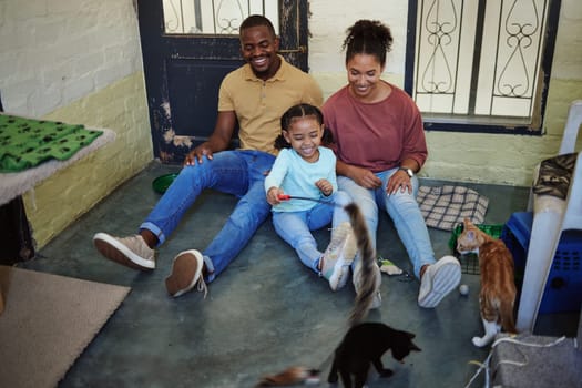 Family, cats and fun and home with animals, pets and cat together with happiness and bonding. Happy mother, girl and father with pets playing with love, care and smile in a house with happiness.