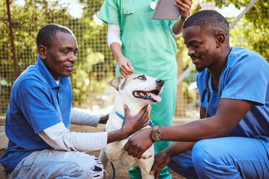 Veterinary, group and doctor with dog while working in healthcare, wellness and animal health. Vet, volunteer and pet with black man, nurse or people for medical, care or adoption of animal outdoor.