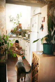 Come here my boy. a cheerful young man calling his dog to eat his food inside of the kitchen during the da