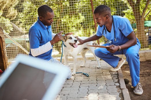 Outdoor animal shelter, dog and vet with clipboard in hand doing check up, examination and analysis. Healthcare, teamwork and veterinarian medical workers at dog shelter taking care of animals.