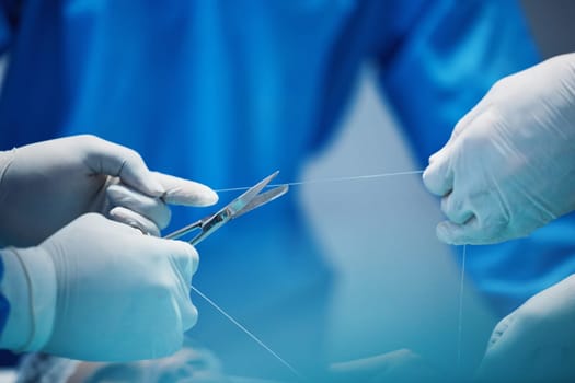 Surgery, hands and doctor cut thread, stitching patient and surgical procedure with health insurance. People in medicine, surgeon with scissors and medical tools with collaboration in hospital.