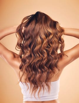Woman, hair and beauty with balayage, back view of curly hairstyle with haircare and keratin treatment on studio background. Female model with color highlights, cosmetic shine and texture with growth.
