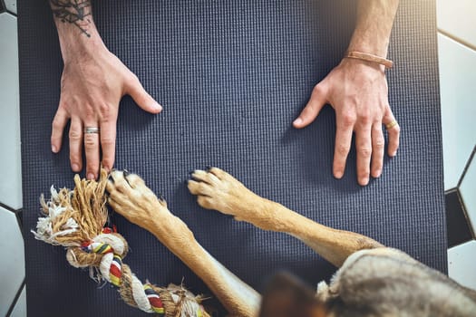 A time to paws and reflect. an unrecognisable man doing yoga with his dog at home