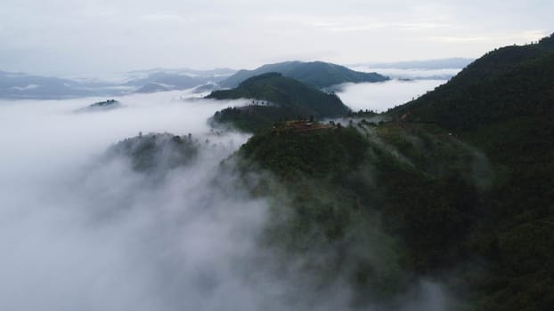 Aerial view of the trees in the valley with fog in the morning. Landscape of misty valley and mountain clouds in thailand. The dawn of the mountains with the sea of mist.