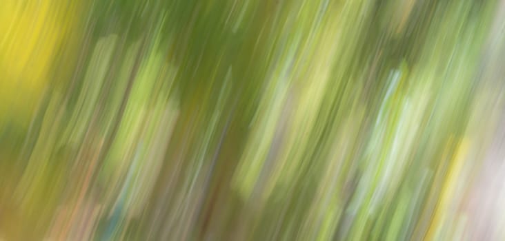 Abstract Nature Blurred dynamic motion lines defocused light bright dark green yellow tropical leaves Wallpaper screensaver design background.