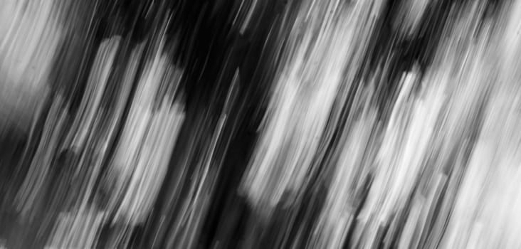 Abstract Nature Blurred dynamic motion lines defocused black white grey monochrome tropical leaves Wallpaper screensaver design background.