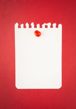 Blank white torn paper note with push pin on red background.