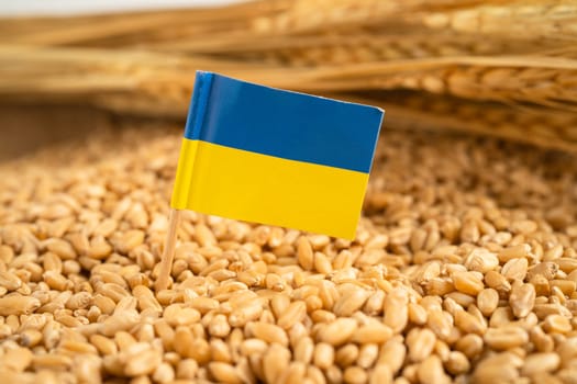 Grains wheat with Ukraine flag, trade export and economy concept.