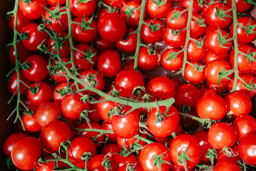 Cherry tomatoes pattern, overhead view