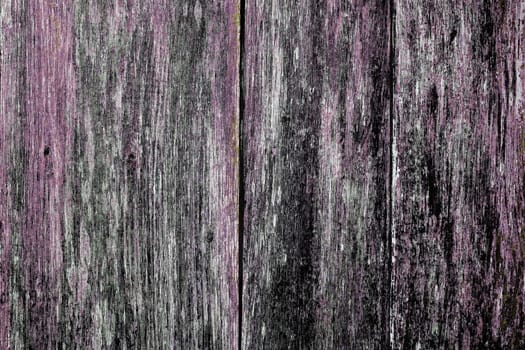 Purple and black colored planks. The paint is almost gone. Wood structure in unusual colors. Meant as grunge background