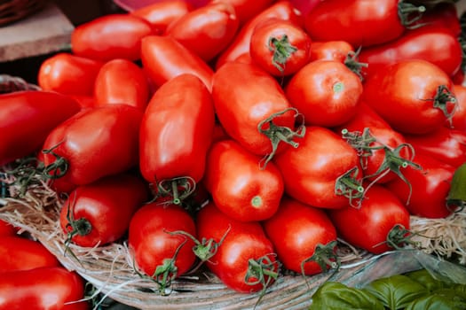 Plum tomatoes sold on an open air green market