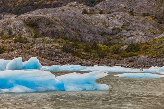 Impressive light blue icebergs in Lago Grey in front of rocks and autumnal vegetation in Torres del Paine National Park, Chile, Patagonia, South America