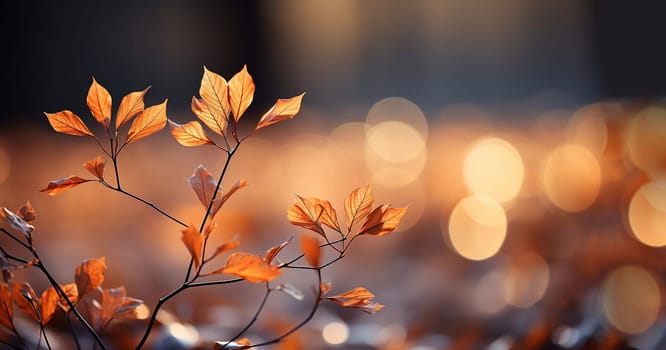 Beautiful autumn landscape with brown and orange colored trees and sunlight. Colorful foliage in the park. Falling leaves natural background in forest nature blurred bokeh copy space magical fall