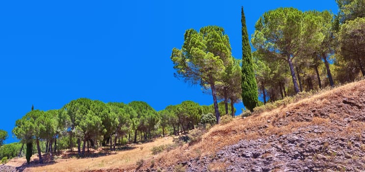 Ronda - the ancient city of Ronda, Andalusia. Landscape around old city of Ronda, Andalusia, Spain