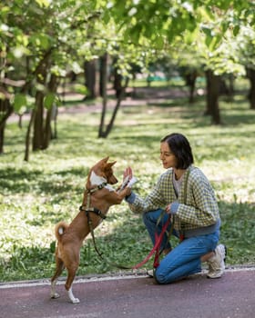 African dog sabbenji high fives the owner on a walk in the park