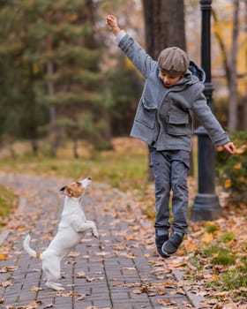 Caucasian boy playing with a dog for a walk in the autumn park