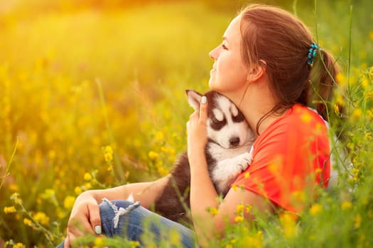 Young woman in a T-shirt hugs a husky puppy at sunset outdoors. The relationship between dog and owner.