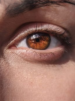 Close woman eye images, beautiful brown color of the iris of the eye. Woman eye images.