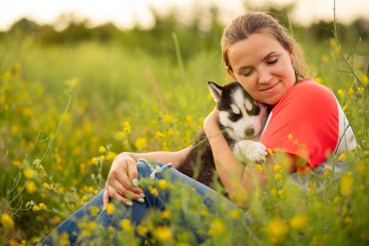 Young woman in a T-shirt hugs a husky puppy at sunset outdoors. The relationship between dog and owner.