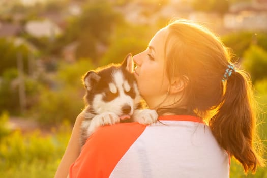 Young woman in a T-shirt hugs a husky puppy at sunset outdoors. The relationship between dog and owner.