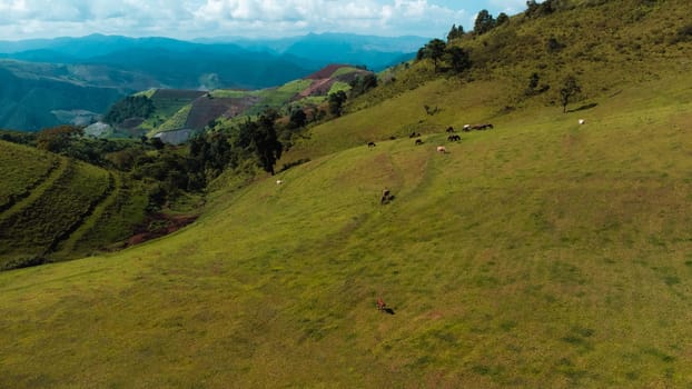 Scenic of idyllic rolling hills landscape with blooming meadows and mountain ranges in the background on a beautiful sunny day with blue sky and clouds in springtime.