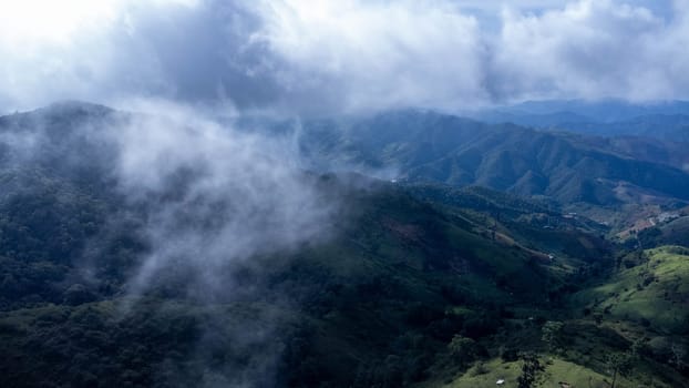 Aerial view of the trees in the valley with fog in the morning. Landscape of misty valley and mountain clouds in thailand. The dawn of the mountains with the sea of mist.