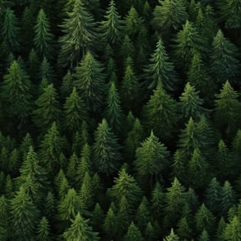 Top view of the green forest, seamless background