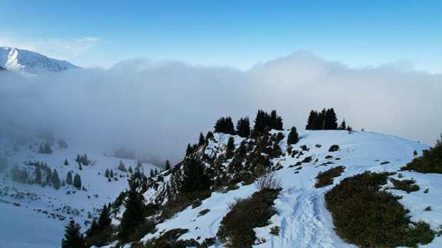 White cumulus clouds in snowy mountains in winter. The rays of the sun fall on part of the clouds, a shadow comes from the peak. Blue sky. Coniferous fir trees grow on the hills. Tourists are walking