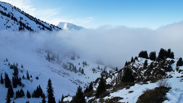 White cumulus clouds in snowy mountains in winter. The rays of the sun fall on part of the clouds, a shadow comes from the peak. Blue sky. Coniferous fir trees grow on the hills. Tourists are walking