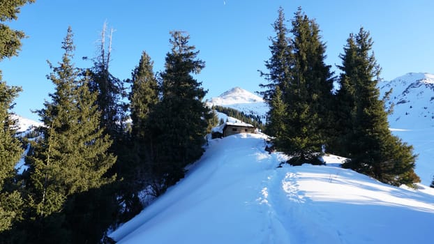 An abandoned house in the snowy mountains. Christmas trees and bushes grow. Clear sky and moon. A small moon in the distance above the top of the peak. There is a lot of snow on the roof. Almaty