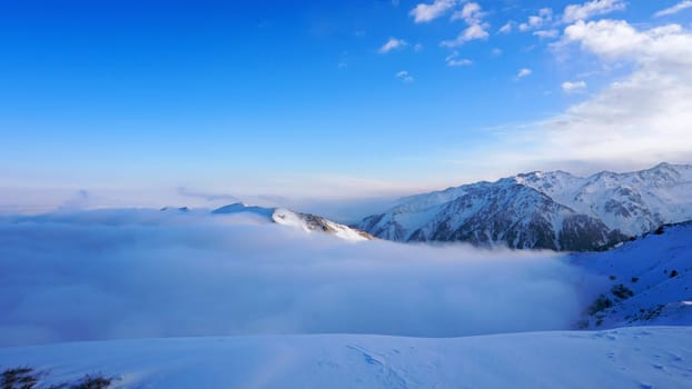 An ocean of clouds in the snowy mountains at dawn. White clouds are like a carpet in a gorge. Waves rise and descend from the mountains. Sunrise of the yellow sun. Clear sky, mountain peaks. Almaty