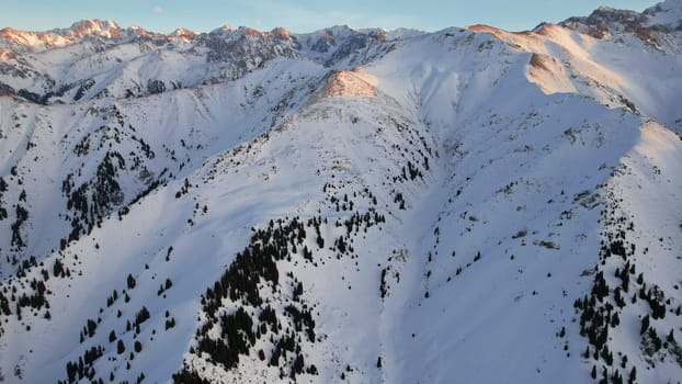 Epic red-orange sunset in high snowy mountains. There are tall coniferous trees, there is snow on the hills. High peaks. The sun's rays fall on the clouds and fog that is lower down the gorge. Almaty