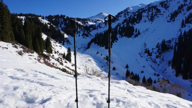 Trekking sticks are stuck in the snow in the mountains. Traces of people are visible. Coniferous trees, frozen bushes. The peaks of the peaks are far away. Clear sky. Climbing. View of the gorge.