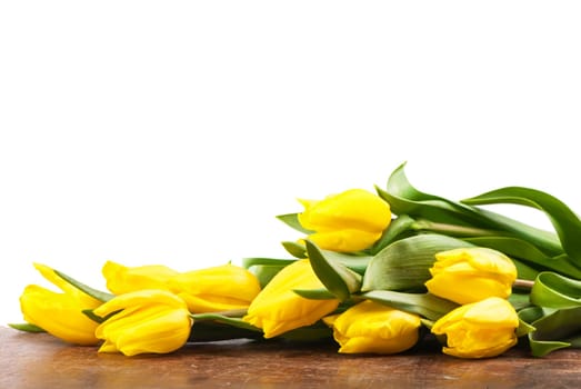 yellow tulips lie on wooden board on white background