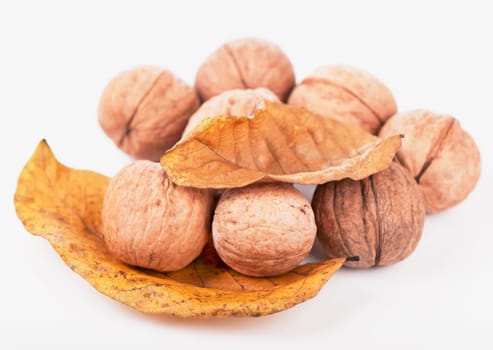 Fresh ripe Walnut isolated on a white background.