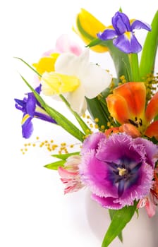 spring flowers isolated on a white background