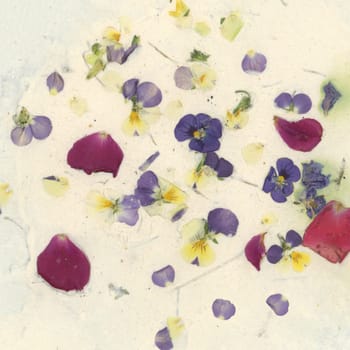 Handmade paper with clearly visible petals from roses and wild pansies.