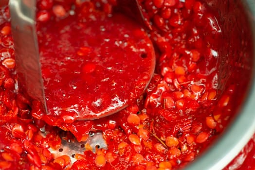 Close up of making jam and separating seeds from guelder rose berries