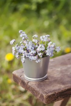 Forget-me-not blue spring garden flowers bouquet outdoors on the wooden bench