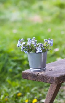 Forget-me-not blue spring garden flowers bouquet outdoors on the wooden bench