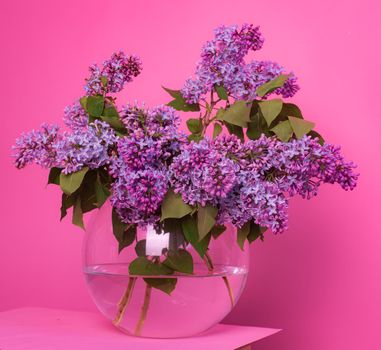 A bouquet of lilacs in a vase on a pink background . Postcard flowers on a pink background . Spring flowers. Nicely. Copy space. Pink. Decor . Postcard flowers on a pink background