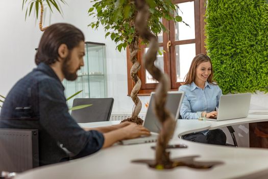 Young young cute woman and handsome serious pensive businessman working on laptop at the office.