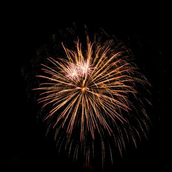 Colorful fireworks isolated on black sky background.