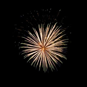 Colorful fireworks isolated on black sky background.