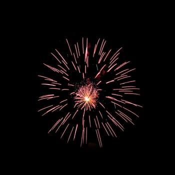 Colorful fireworks isolated on black sky background.