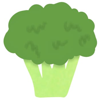 Drawing of broccoli isolated on white background for usage as an illustration, food, vegetables and eating concept