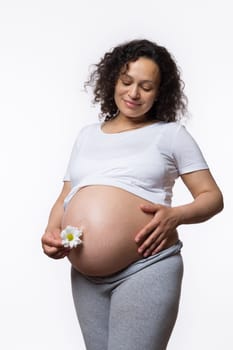 Charming smiling happy Latina gravid mother caressing her big pregnant belly in late pregnancy, holding daisy flower, isolated on white background. Women's health. Obstetrics and gynecology. Maternity