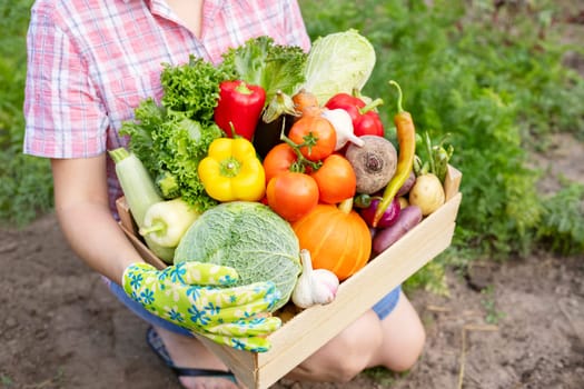 A farmer woman holding wooden box full of fresh raw vegetables in her hands. Harvesting homegrown produce.