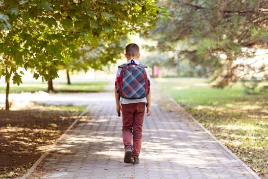 A schoolboy with a backpack going to school outdoors. Back to school.