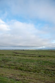 Route on cloud day in the countryside of Uruguay.